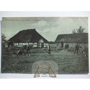 Dźwirzyno k. Kołobrzeg, chałupy, 1913