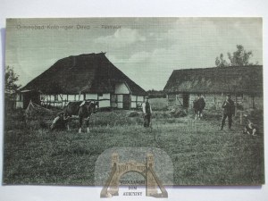 Dźwirzyno k. Kołobrzeg, cottages, 1913