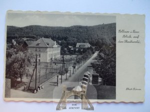 Polanow, Pollnow, view of the city forest, ca. 1938