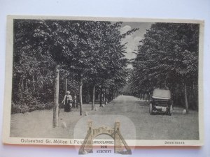Mielno, Gross Mollen, alley, ca. 1930