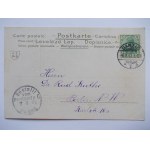 Gdańsk, Danzig, panorama, litografia, tłoczona 1903