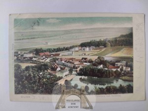 Gdansk, Danzig, Oliva, panorama 1905