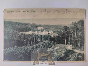 Sopot, Zoppot, Partie am Steinweg ca. 1925