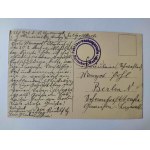 Malbork, Marienburg, nad Nogatem ok. 1915