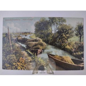 Krynica Morska, Kahlberg, Zalew Wiślany,transport trzciny ok. 1910