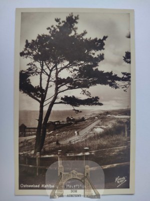 Krynica Morska, Kahlberg, seashore, pine tree 1931