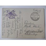 Frombork, Frauenburg, Zalew Wiślany, mapka 1940