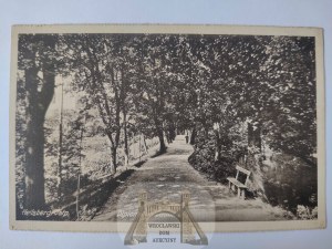 Lidzbark Warmiński, Heilsberg, avenue ca. 1920