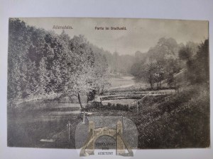 Olsztyn, Allenstein, city forest, river 1915