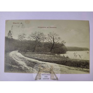 Ruciane Nida, Rudczanny, dęby nad jeziorem 1908