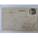 Ełk, Lyck, panorama, łabędzie, 47. zjazd spółdzielców 5-7.06.1910