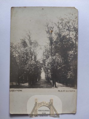 Warsaw, Ursynów, park, alley, photo ca. 1925