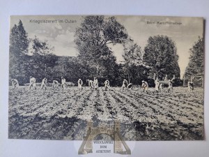 Modlin, war hospital, potato field ca. 1915