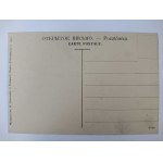 Puławy, droga i mostek w parku 1911