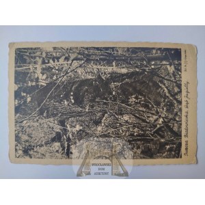 Białowieża, Puszcza Białowieska, Dąb Jagiełły ok. 1935
