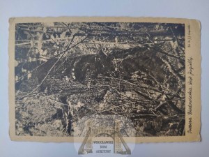 Bialowieza, Bialowieza Forest, Jagiello's Oak ca. 1935