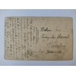 Białowieża, Puszcza Białowieska, młody jeleń ok. 1930