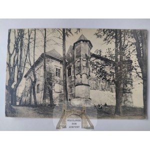 Dębno, zamek ok. 1910