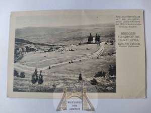 Gorzejowa near Debica, war memorial and cemetery ca. 1915