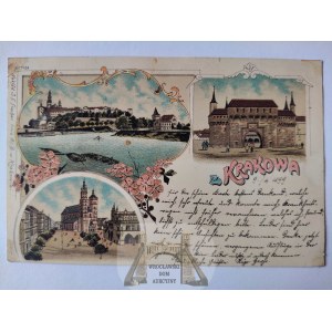 Kraków, litografia, 3 widoki 1899