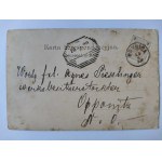 Krynica, willa, Dom Zdrojowy, szałas 1899