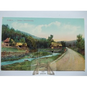 Wisła, Dolina Dziechcińska, 1910