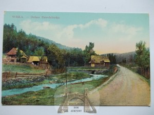 Vistula, Dziechcinska Valley, 1910