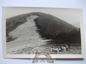 Beskidy, occupation, Klimczok, ca. 1942.