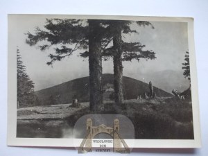 Beskidy, occupation, Klimczok, ca. 1942.