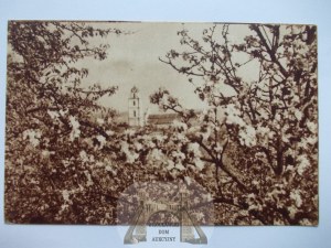 Lithuania, Vilnius, panorama, ca. 1938