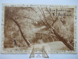 Lithuania, Druskininkai, bridge, 1928