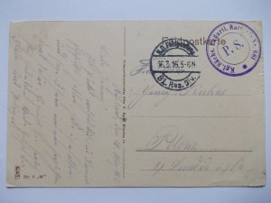 Belarus, Pinsk, St. Petersburg Street, 1916