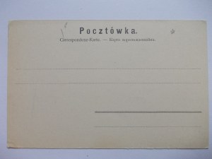 Ukraine, Stanislaviv, panorama, ca. 1900