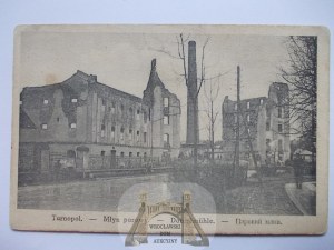 Ukraine, Ternopil, Steam Mill, ruins, ca. 1915