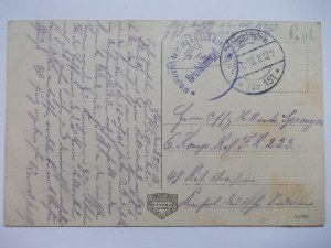 Ukraine, Stryj, panorama, 1916