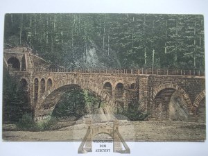 Ukraine, Jamna, bridge, ca. 1910