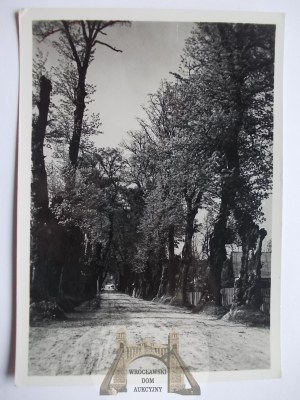 Ukraine, School near Lviv, alley, Atlas Bookstore, photo by Lenkiewicz, 1939