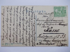 Ukraine, Yavoriv, starosty, ca. 1910