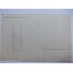 Legiony Polskie, 1 Pułk Piechoty, ok. 1916