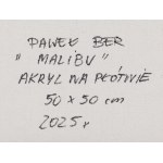 Paweł Ber (ur. 1987, Warszawa), Malibu, 2025