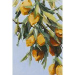 Anna Pleń (nata nel 1988, Varsavia), Limoni n.12, 2025