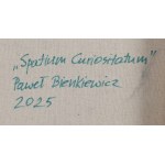 Paweł Bienkiewicz (ur. 1962), Spatium curiositatum, 2025