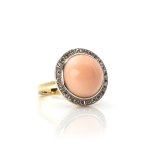 Brosche und Ring mit Engelshautkoralle