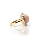 Brosche und Ring mit Engelshautkoralle
