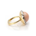 Brosche und Ring mit Engelshautkoralle