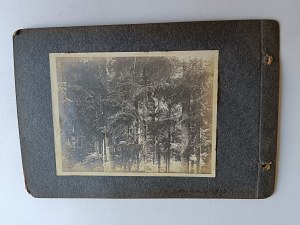 SET OF 2 PHOTOS ON CARD FROM AN OLD ALBUM RYMANOW 1906, GROUP OF PEOPLE ON A LADDER, MYŚLENICE 1907, FOREST