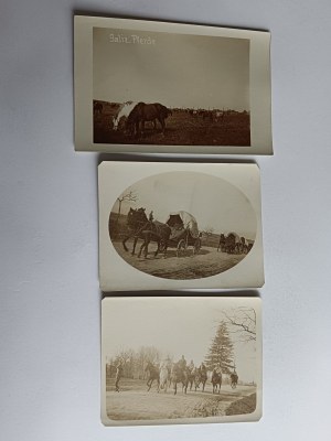 SET OF 3 PHOTOS GALICIA, HORSES, ARMY