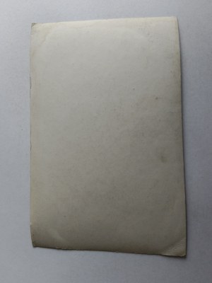 PHOTO SHELLS MIRACULOUS IMAGE OF THE MOTHER OF GOD