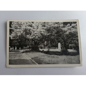 RADOM PARK MATEJKI