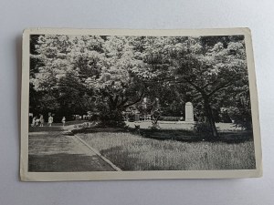 RADOM PARK MATEJKI